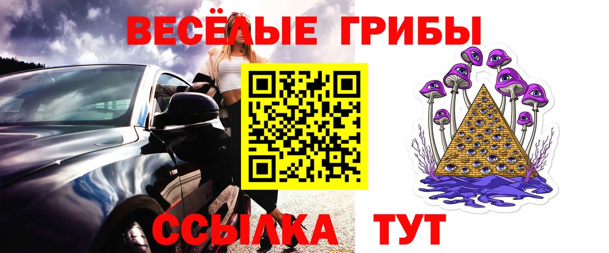 Новочеркасск  Галлюциногенные грибы ЛСД  сколько стоит  Псилоцибиновые грибы мицелий  Вход с VPN 
